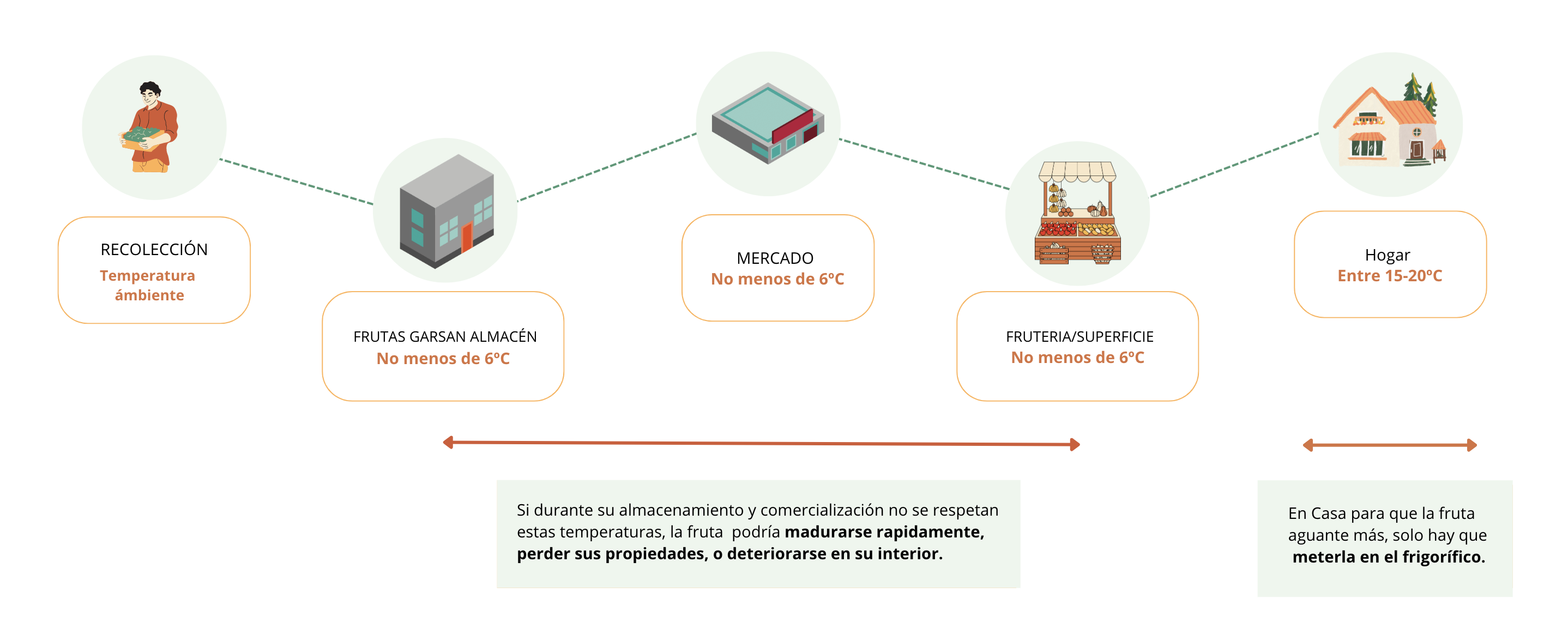 Infografía de la cadena de frio para conservar la el níspero